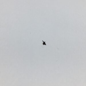 Част за баланс Rolex 3035-5020